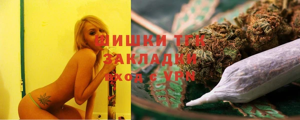 спайс Богданович