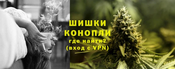 хмурый Богородск