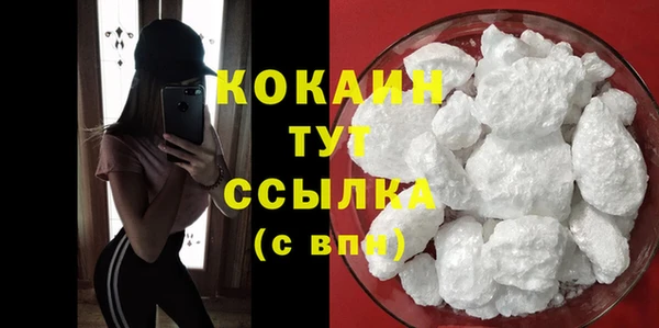 спайс Богданович