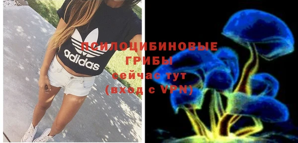 хмурый Богородск