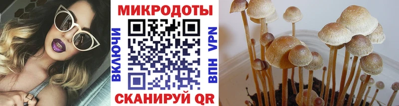 Галлюциногенные грибы Psilocybe Котельники